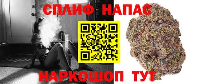 трава Ставрополь