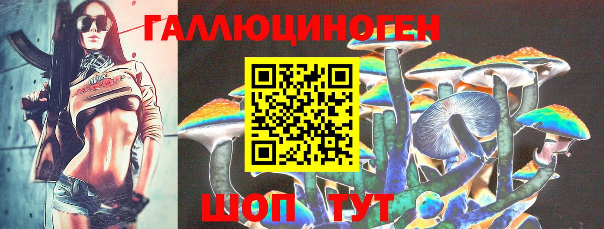Мценск  Псилоцибиновые грибы GOLDEN TEACHER  Вход с VPN 